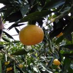 如何将公司账户的钱合法的转到私人账户