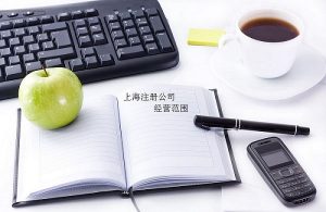 上海注册公司经营范围新