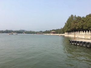 代办酒类批发许可证