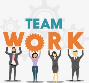 关于公司社保缴费变化的通知