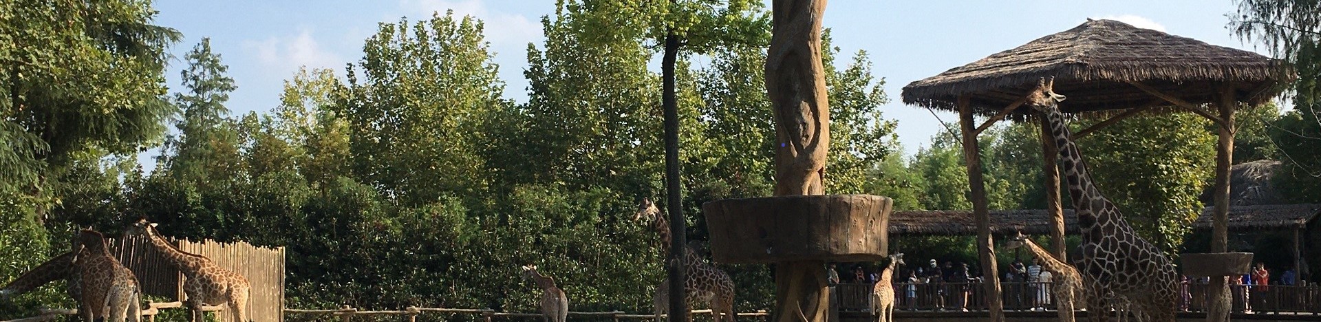 上海代理记账和税务