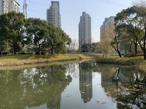 小规模纳税人和一般纳税人如何缴税？