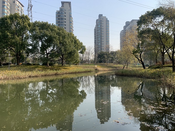 小规模纳税人和一般纳税人如何缴税？