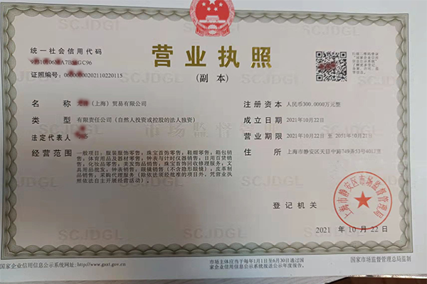 上海注册公司案例2