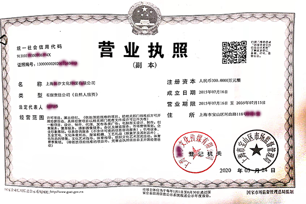 上海注册公司案例3