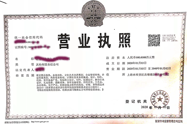 上海注册公司案例1